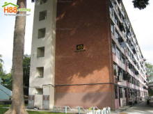 Blk 45 Stirling Road (S)140045 #375722